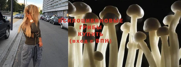 дживик Балахна