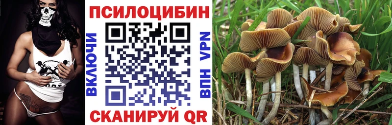 Галлюциногенные грибы Psilocybine cubensis  OMG зеркало  Кукмор 